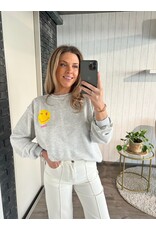 Grey sweater why not - Grijs (PRE ORDER)
