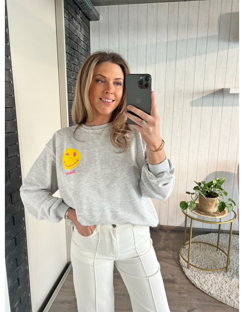 Grey sweater why not - Grijs (PRE ORDER)