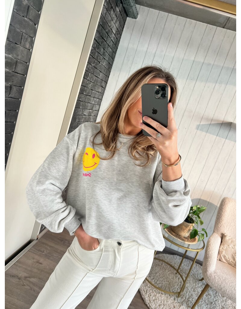 Grey sweater why not - Grijs (PRE ORDER)