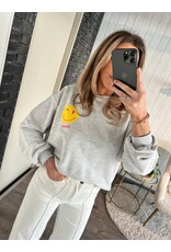 Grey sweater why not - Grijs (PRE ORDER)