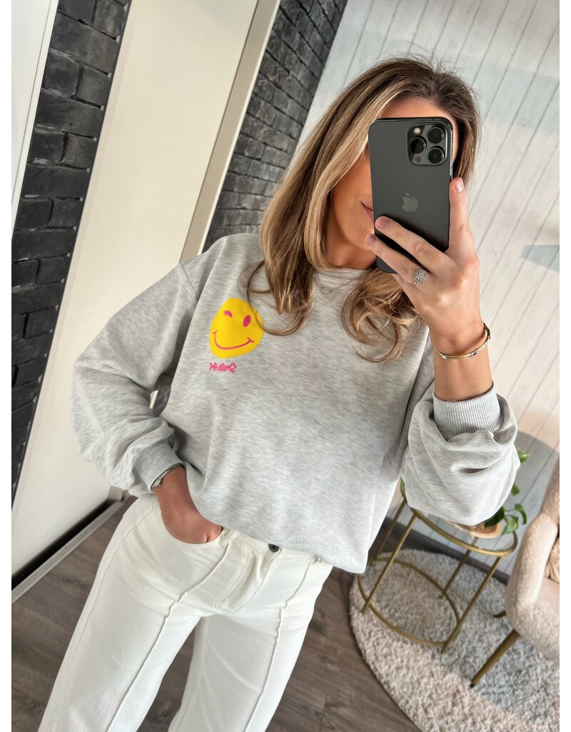 Grey sweater why not - Grijs (PRE ORDER)