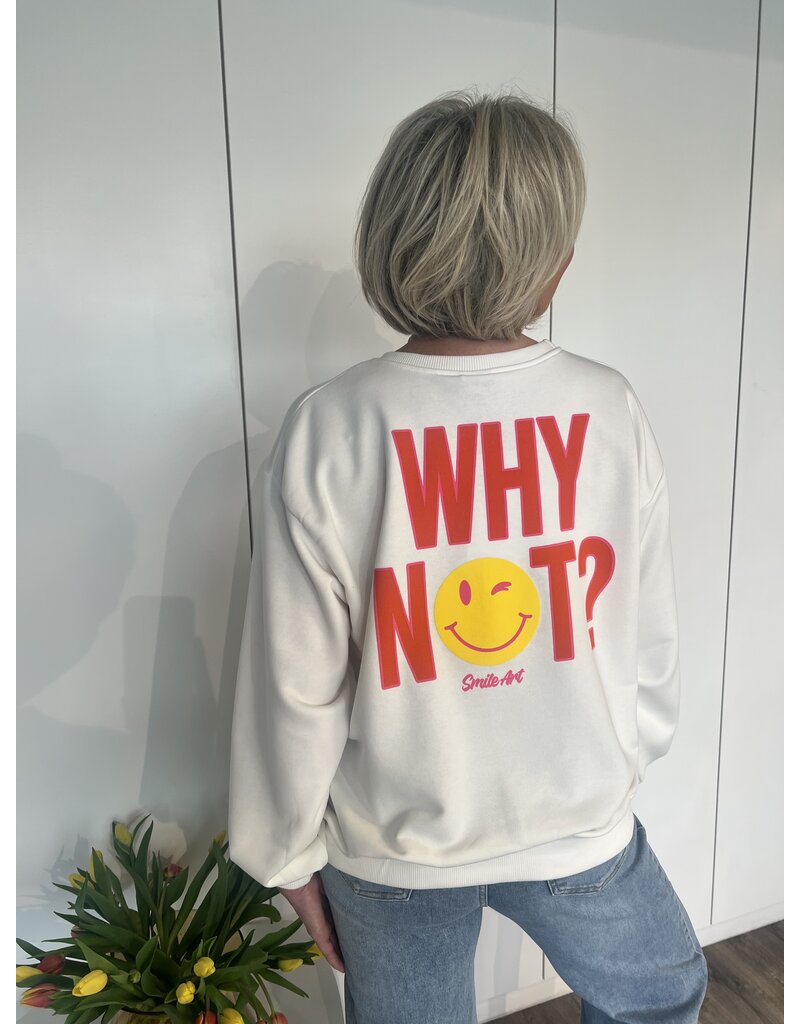 Sweater Why Not - Wit