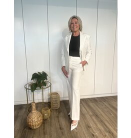 Hazel Stripe Pantalon - Wit