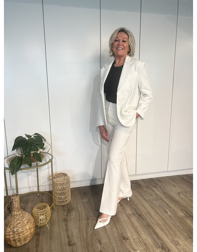 Hazel Stripe Pantalon - Wit