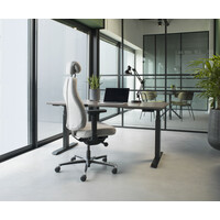 Aergo Therapod X, in wolvilt Fenice 603 donker grijs