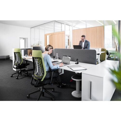 Interstuhl Interstuhl Joyce Flexgrid met 3D netbespanning