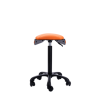 Saddle Up! sport Flowork Saddle Up! sport