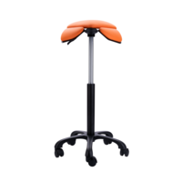 Saddle Up! sport Flowork Saddle Up! sport