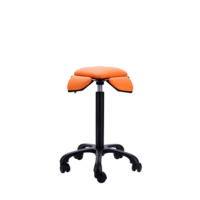 Saddle Up! sport Flowork Saddle Up! sport