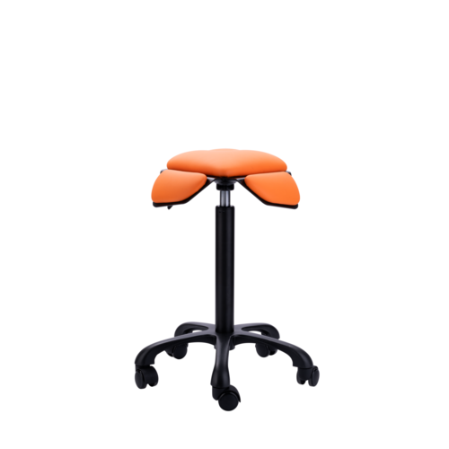 Saddle Up! sport Flowork Saddle Up! sport