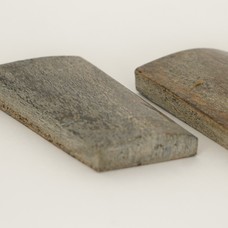 Fossiel mammoetbot (#003) 97*42*11 mm