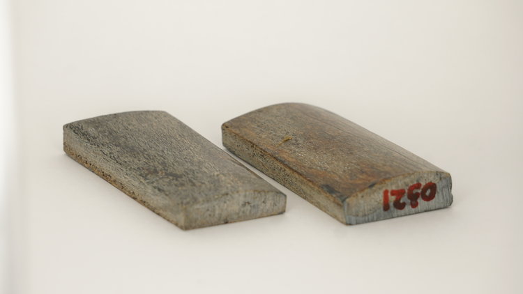 Fossiel mammoetbot (#003) 97*42*11 mm