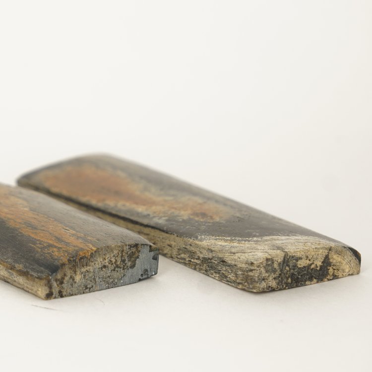 Fossiel mammoetbot (#024) 96*31*6 mm