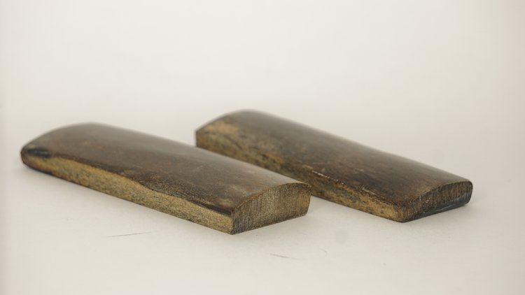 Fossiel mammoetbot (#028) 97*32*10 mm