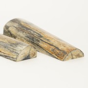 Fossiel materiaal gestabiliseerd
