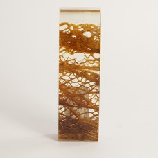 Inclusie glashelder Cholla cactus 40x120x15 mm