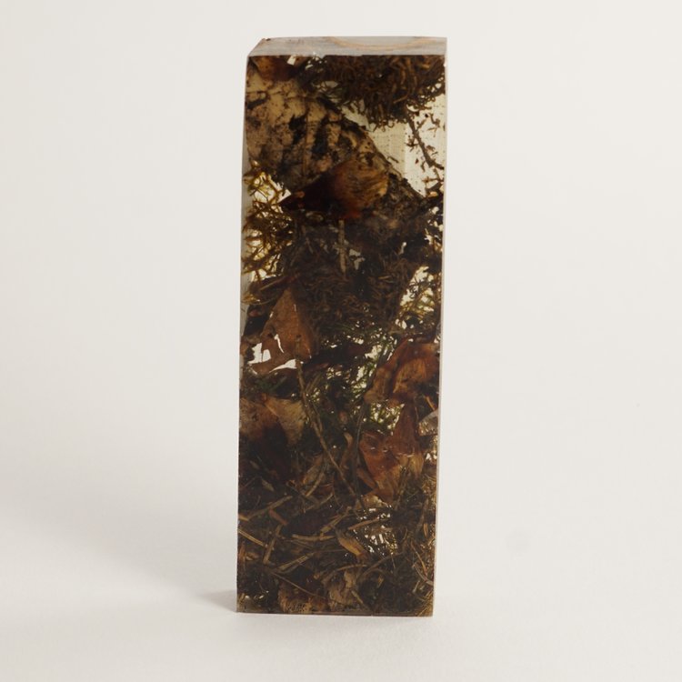 Inclusie glashelder bosgrond 40x120x15 mm