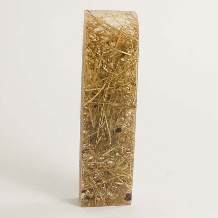 Inclusie glashelder gedroogd gras 40x120x17 mm