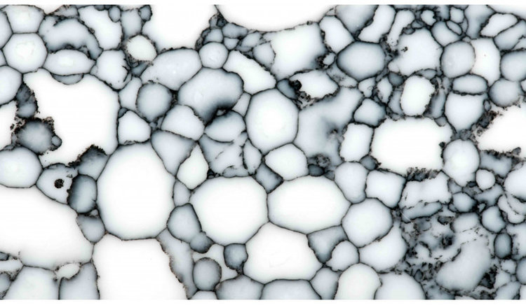 Gereconstrueerd Marmer