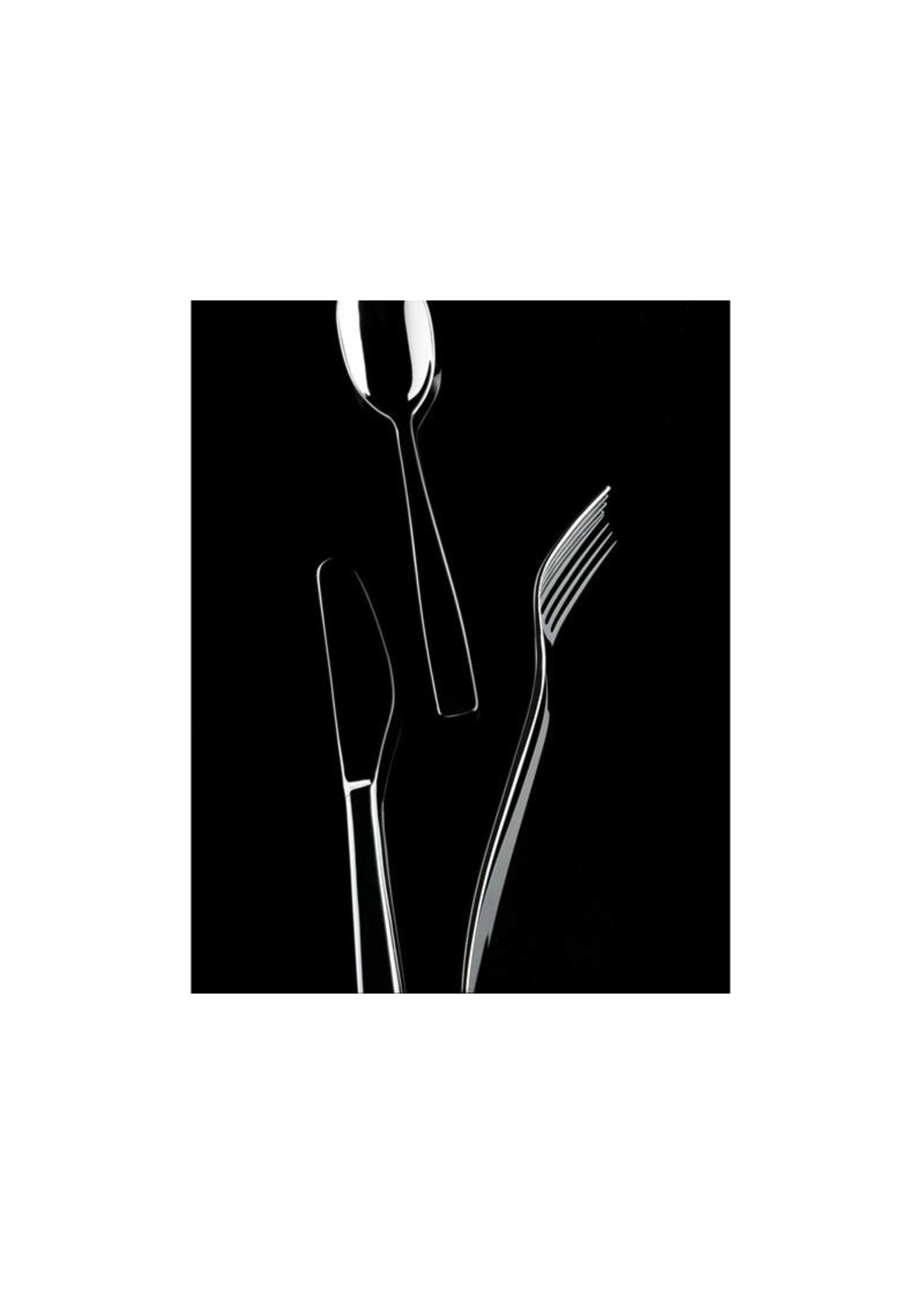 Alessi Knifeforkspoon Bestek 24-Delig