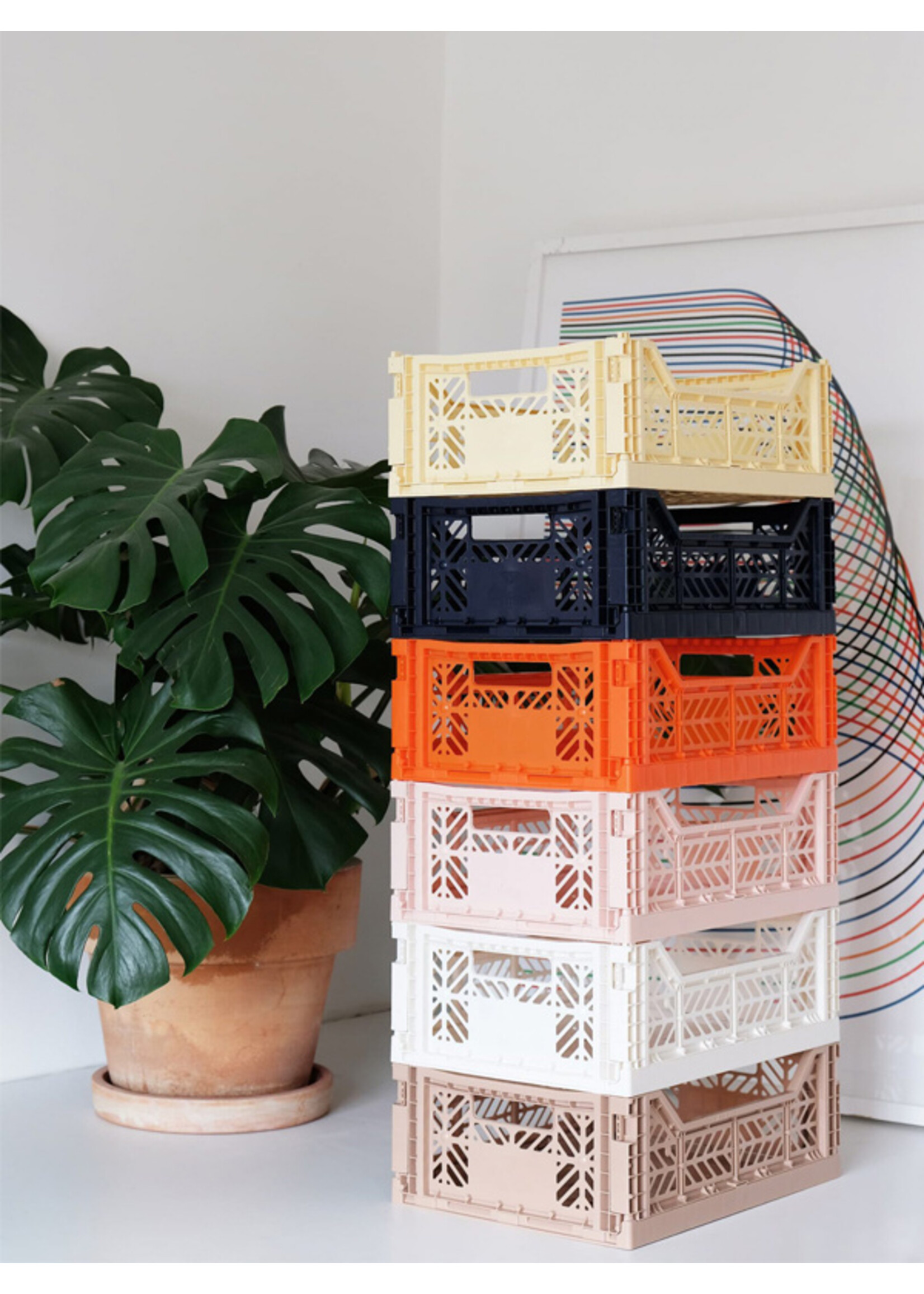 Aykasa Midi - Folding Crate - Melon