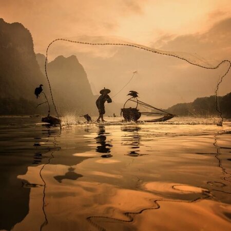 Spread The Fish Nets