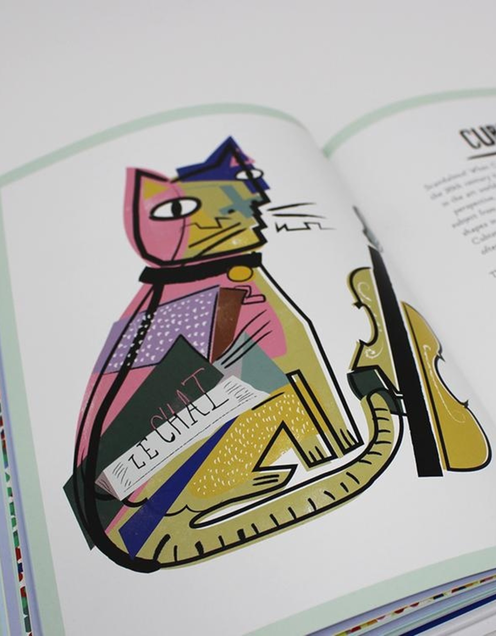 Niaski Niaski - A History of Art in 21 Cats boek