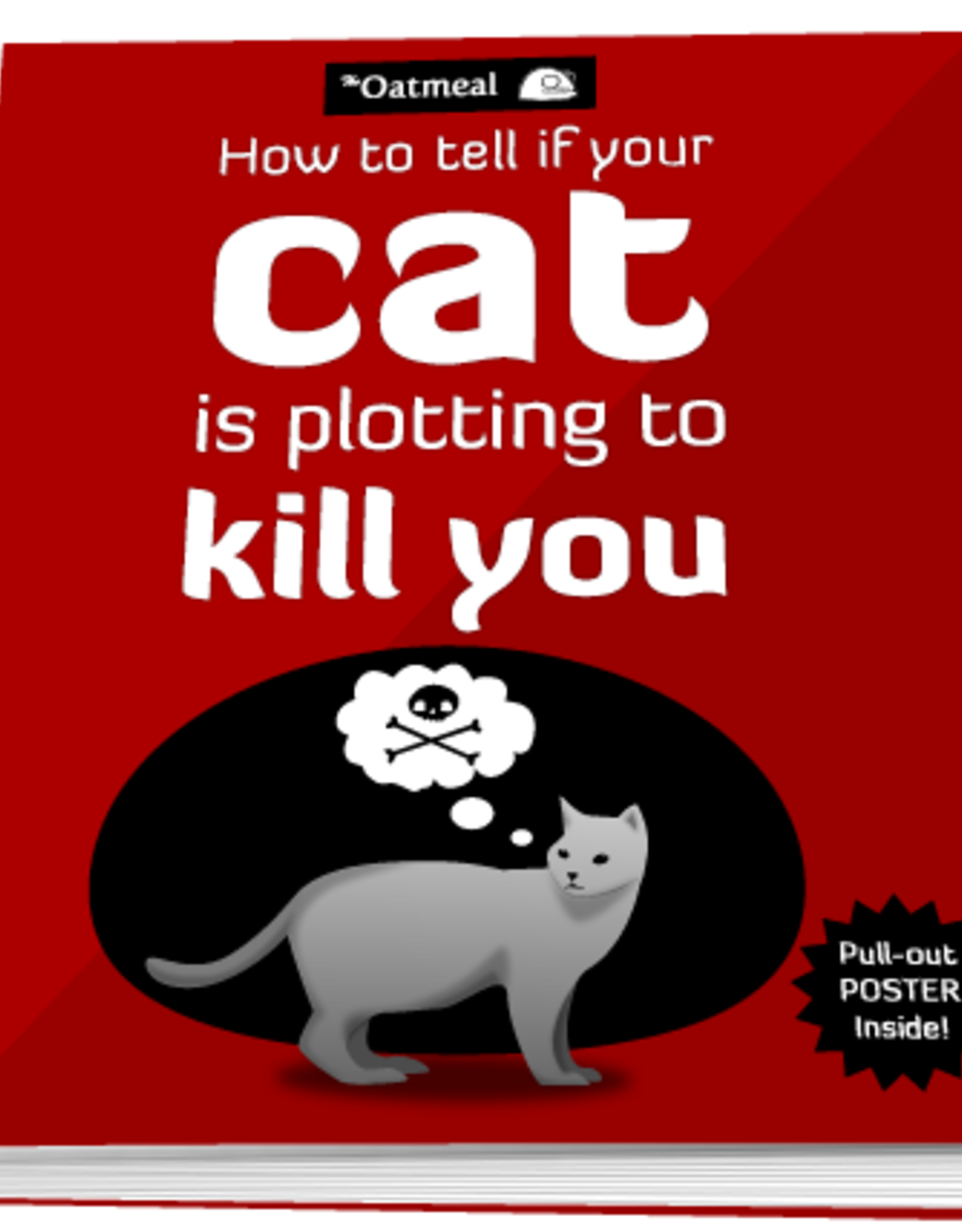 oatmeal cat plotting to kill you