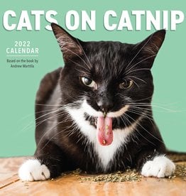 Cats on Catnip - 2022 Kalender - Groot