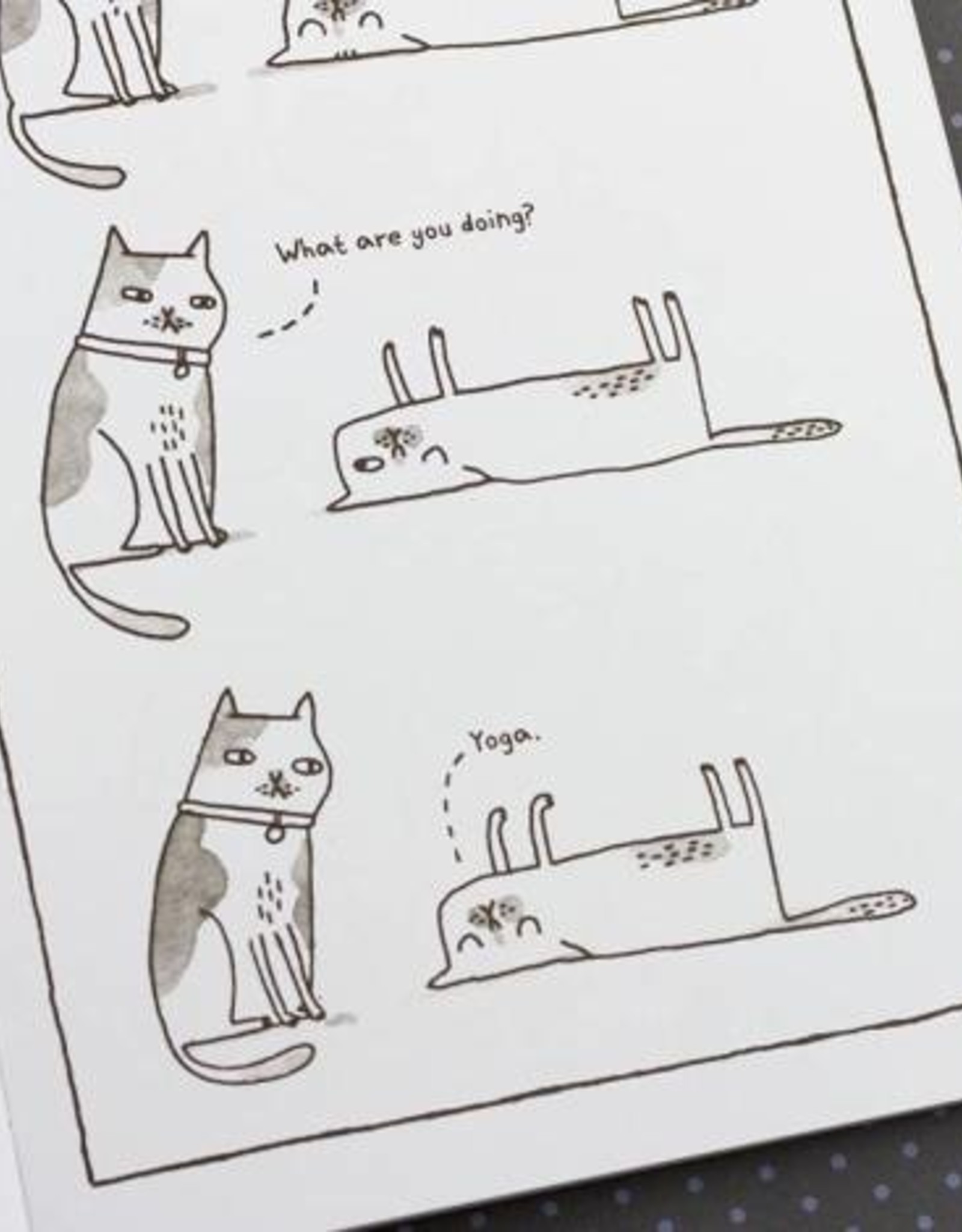 Gemma Correll Doodling for cat people - Gemma Correll