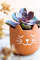 Sass & Belle Sass & Belle - Cat whiskers mini planter - 2 soorten