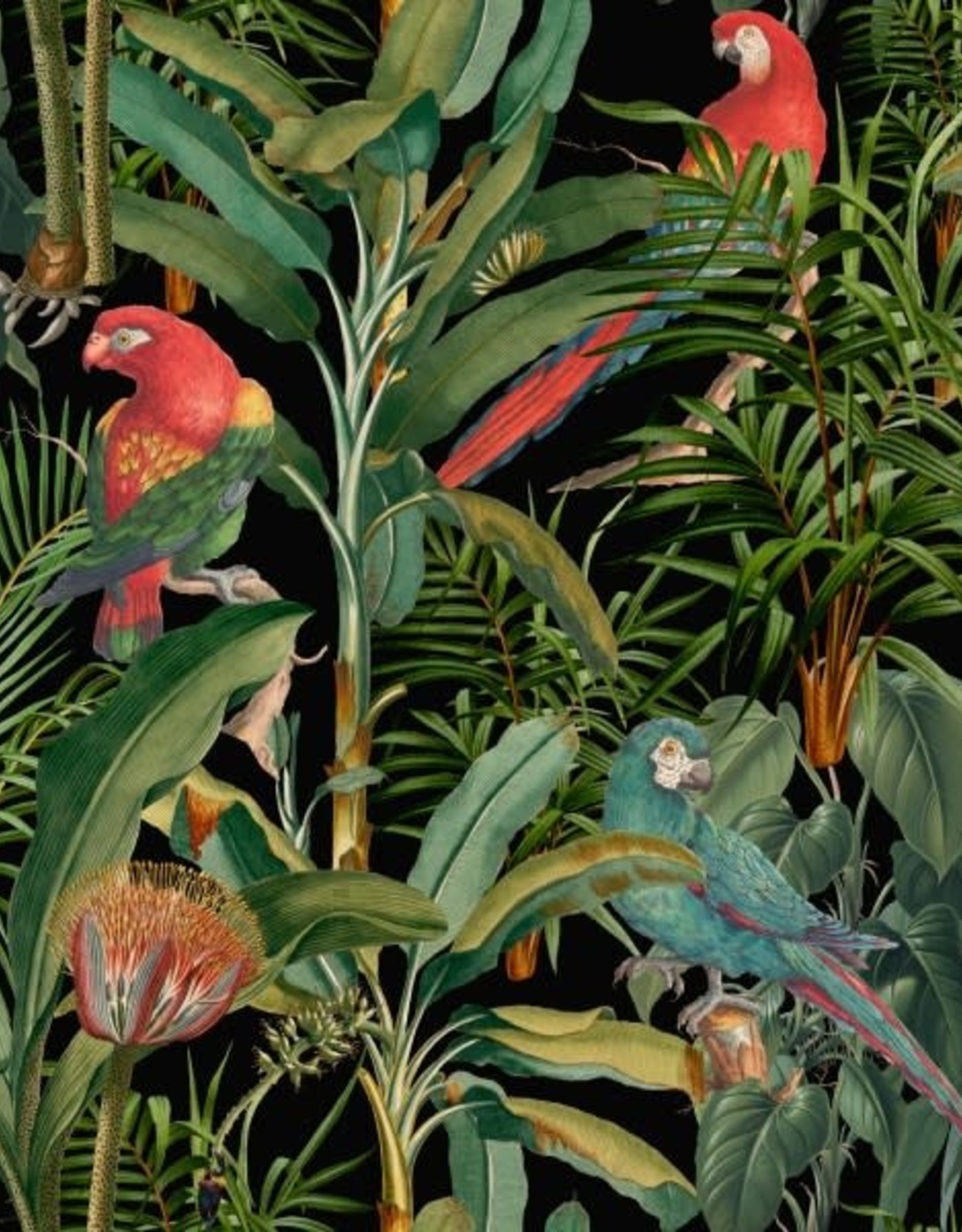 Mind the Gap Behang Parrots of Brasil Dark - 156 x 300 cm