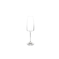 Champagneglas (set van 4) - Trapezium