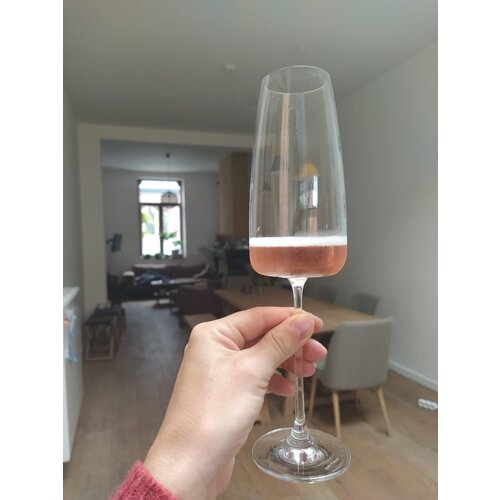 Champagneglas (set van 4) - Trapezium