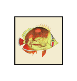 The Dybdahl Company Red and yellow fish. Mini Print incl. kader zwart  - 15 x 15 cm