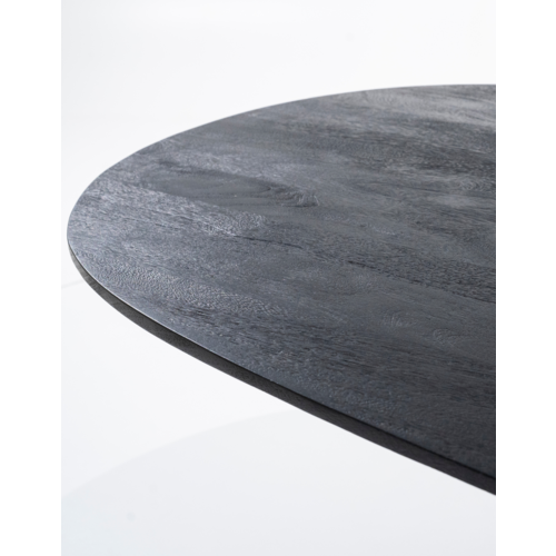 Eettafel Aron Black - Ovaal 300x110cm