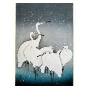 Poster Snowy Herons - 30 x 40 cm