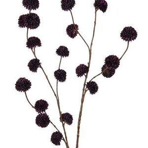 Zijdebloem - Pompom Spray - Dark Purple - 100 cm