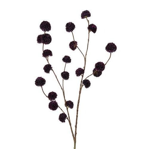 Zijdebloem - Pompom Spray - Dark Purple - 100 cm