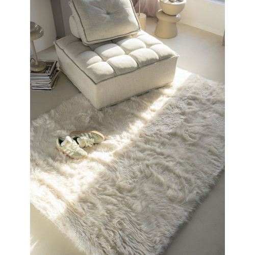 Vloerkleed Laska - Beige 160 x 230 cm