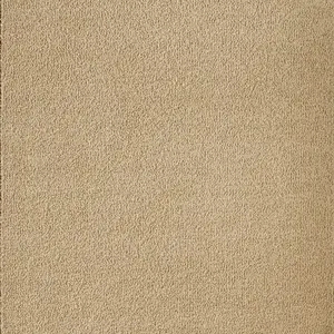 Acsento Vloerkleed Caligari - Beige 200 x 290 cm Acsento Vloerkleed Caligari - Beige 200 x 290 cm