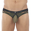 Gregg Homme Erupt brief