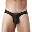 Gregg Homme Gregg Homme Voyeur brief