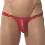 Gregg Homme Boytoy brief