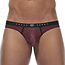 Gregg Homme Gregg Homme Torridz brief