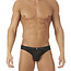 Gregg Homme Torridz brief