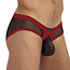 Gregg Homme X-rated maximiser brief