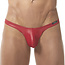 Gregg Homme Gregg Homme Boytoy thong