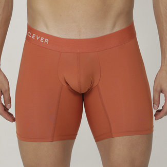 Clever Clever Lightning long boxershort