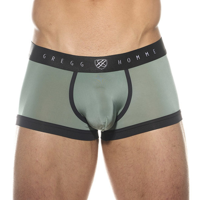 Gregg Homme Room-max boxer brief